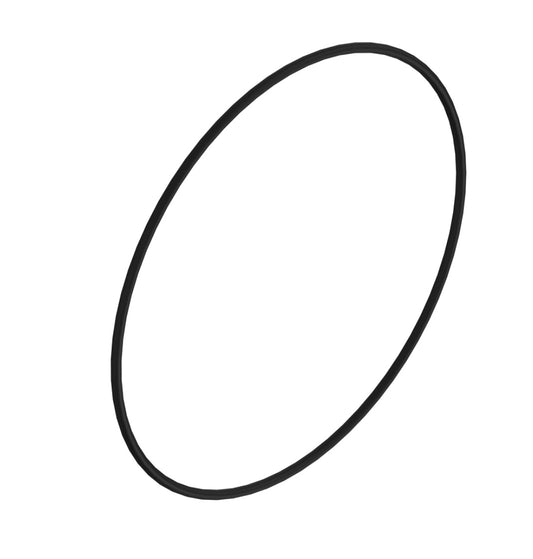 O-Ring- DZ117754